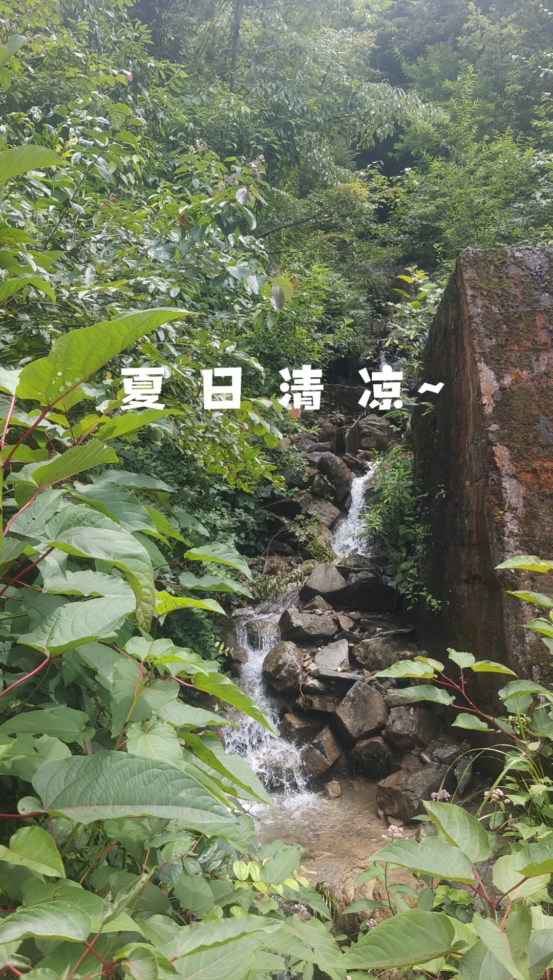 鷳¶