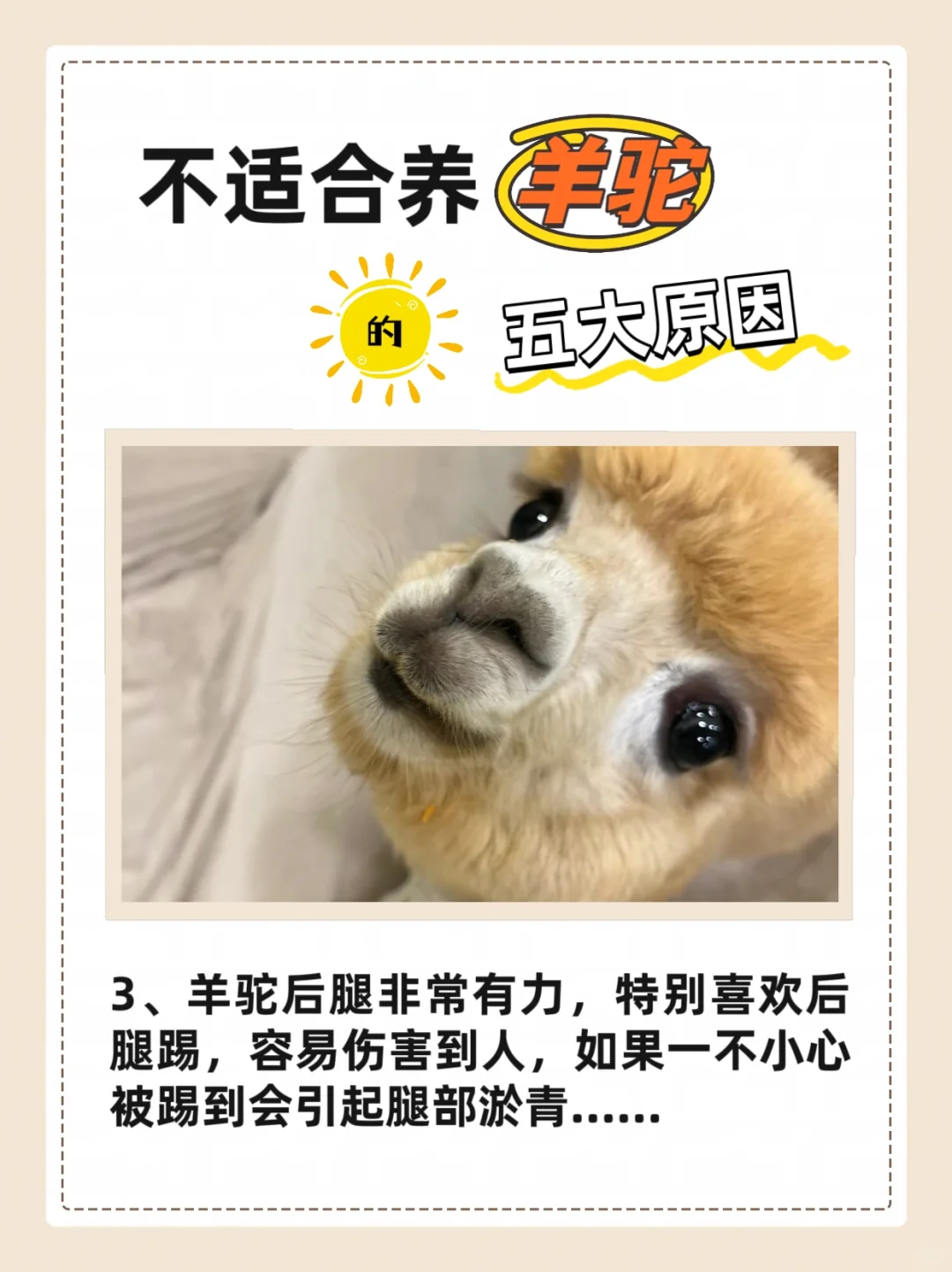ղʺϵԭ