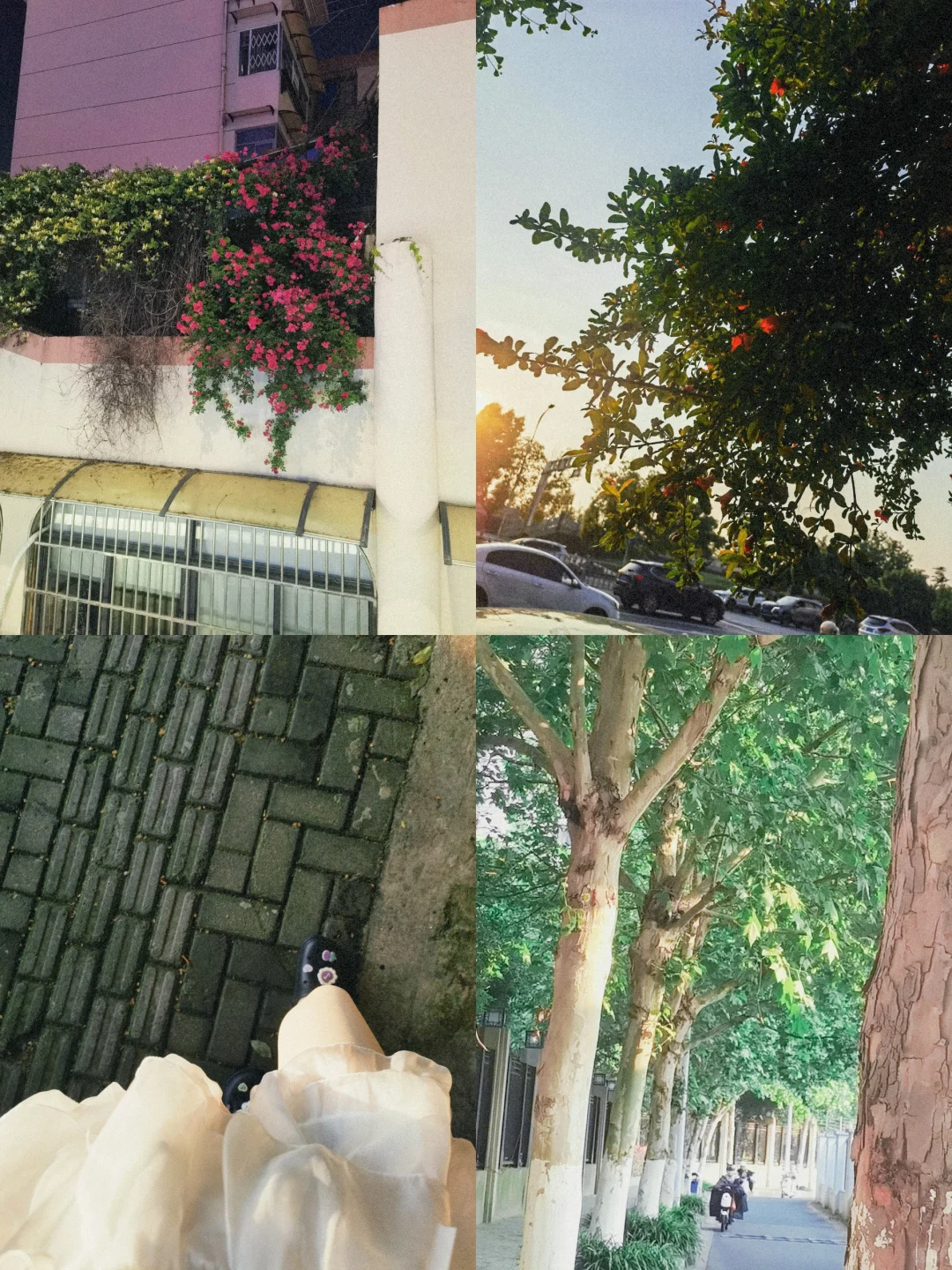 这个夏天希望有你在身边≥﹏≤
