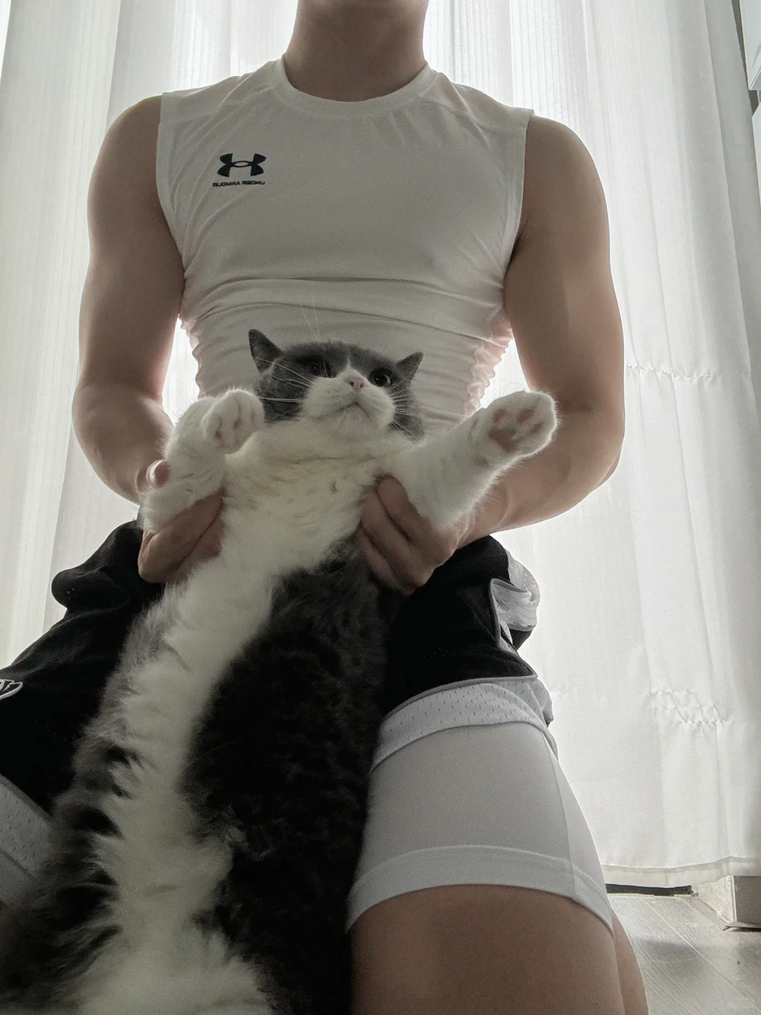 🌈我有小猫，你没有