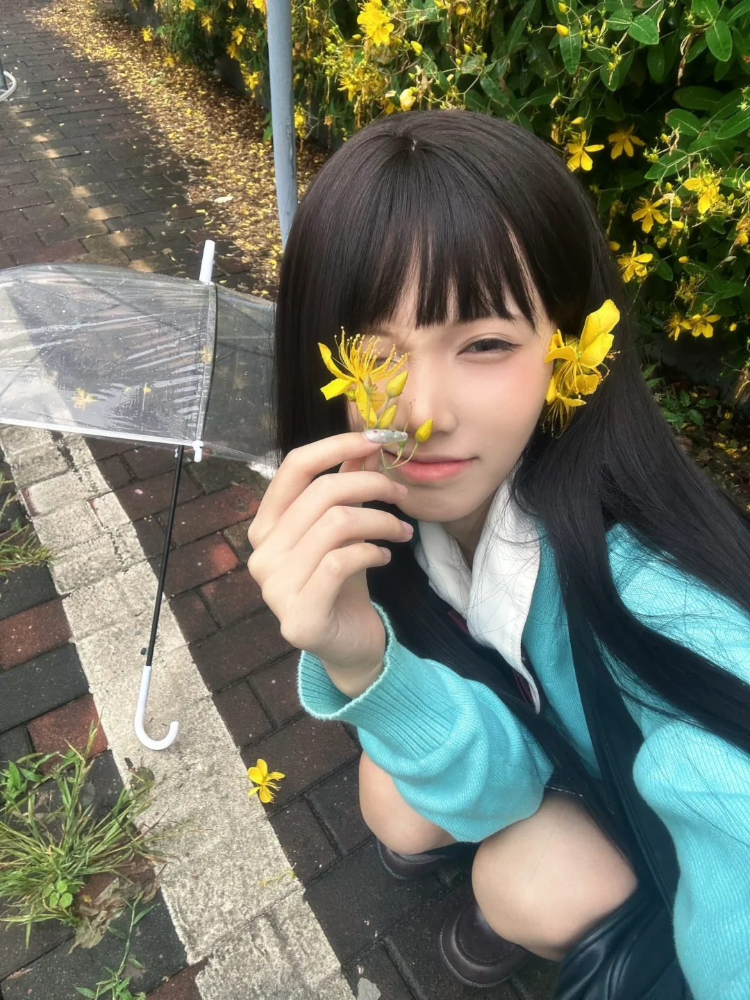 下雨天偶遇一处小黄花🌼
