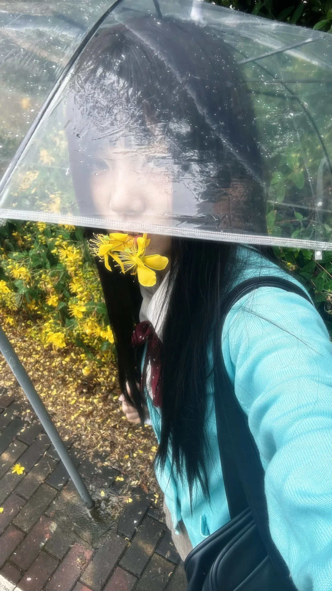 下雨天偶遇一处小黄花🌼