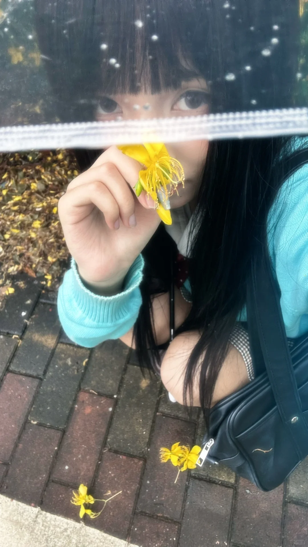 下雨天偶遇一处小黄花🌼