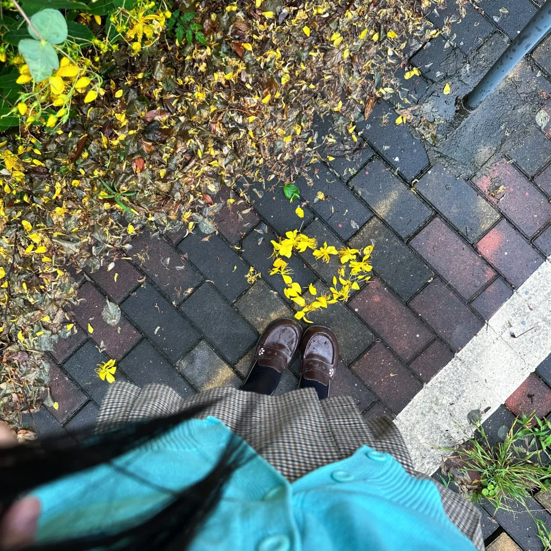 下雨天偶遇一处小黄花🌼