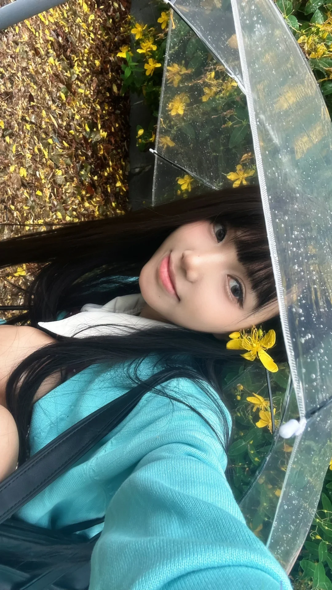 下雨天偶遇一处小黄花🌼