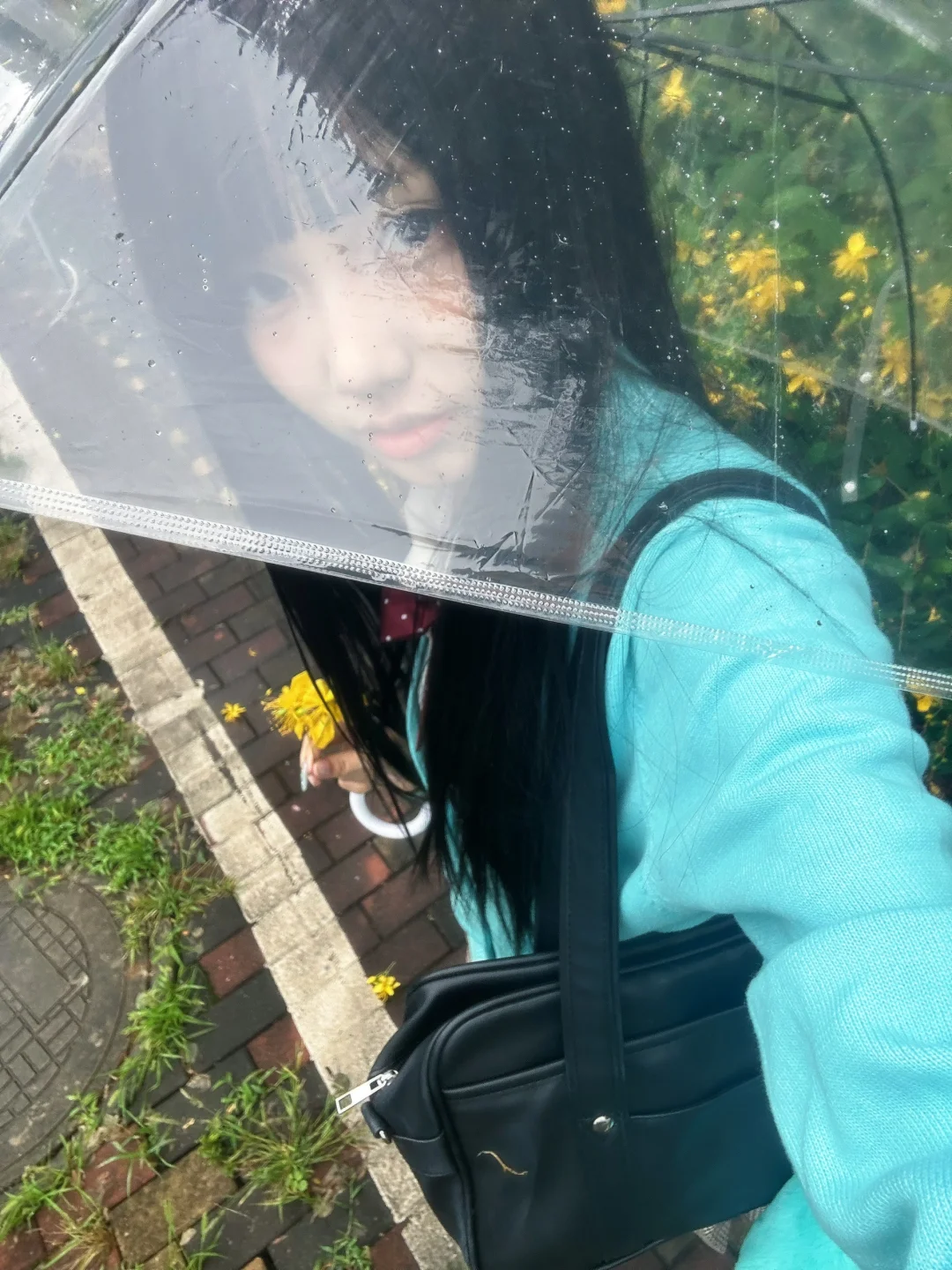 下雨天偶遇一处小黄花🌼