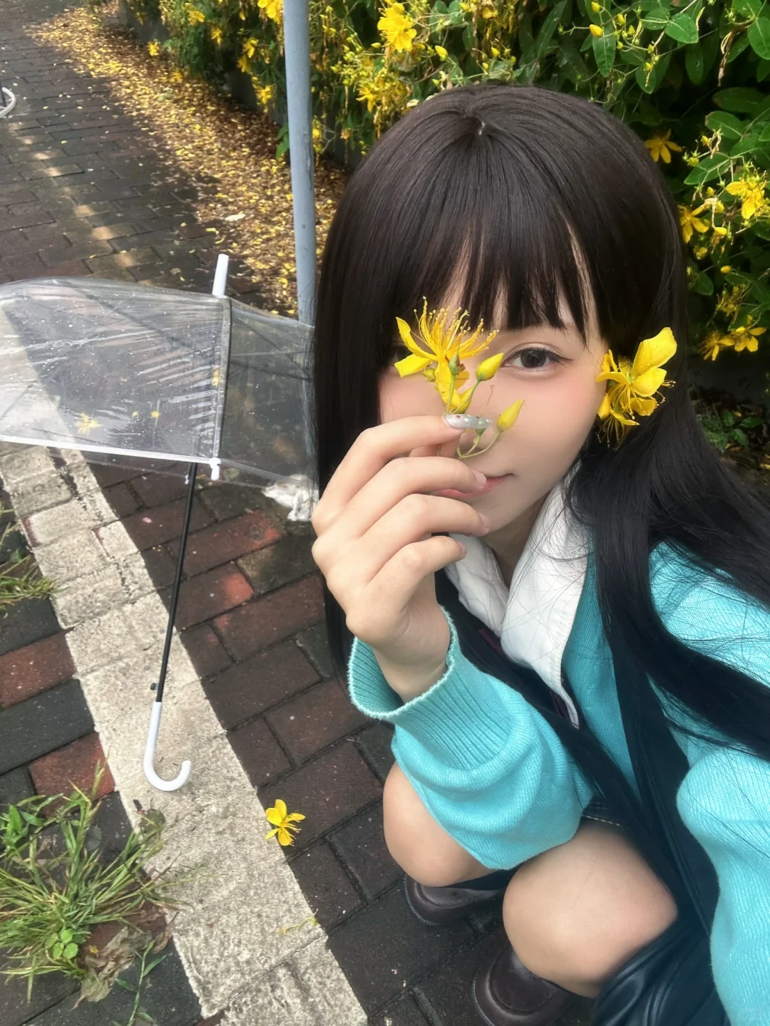 下雨天偶遇一处小黄花🌼