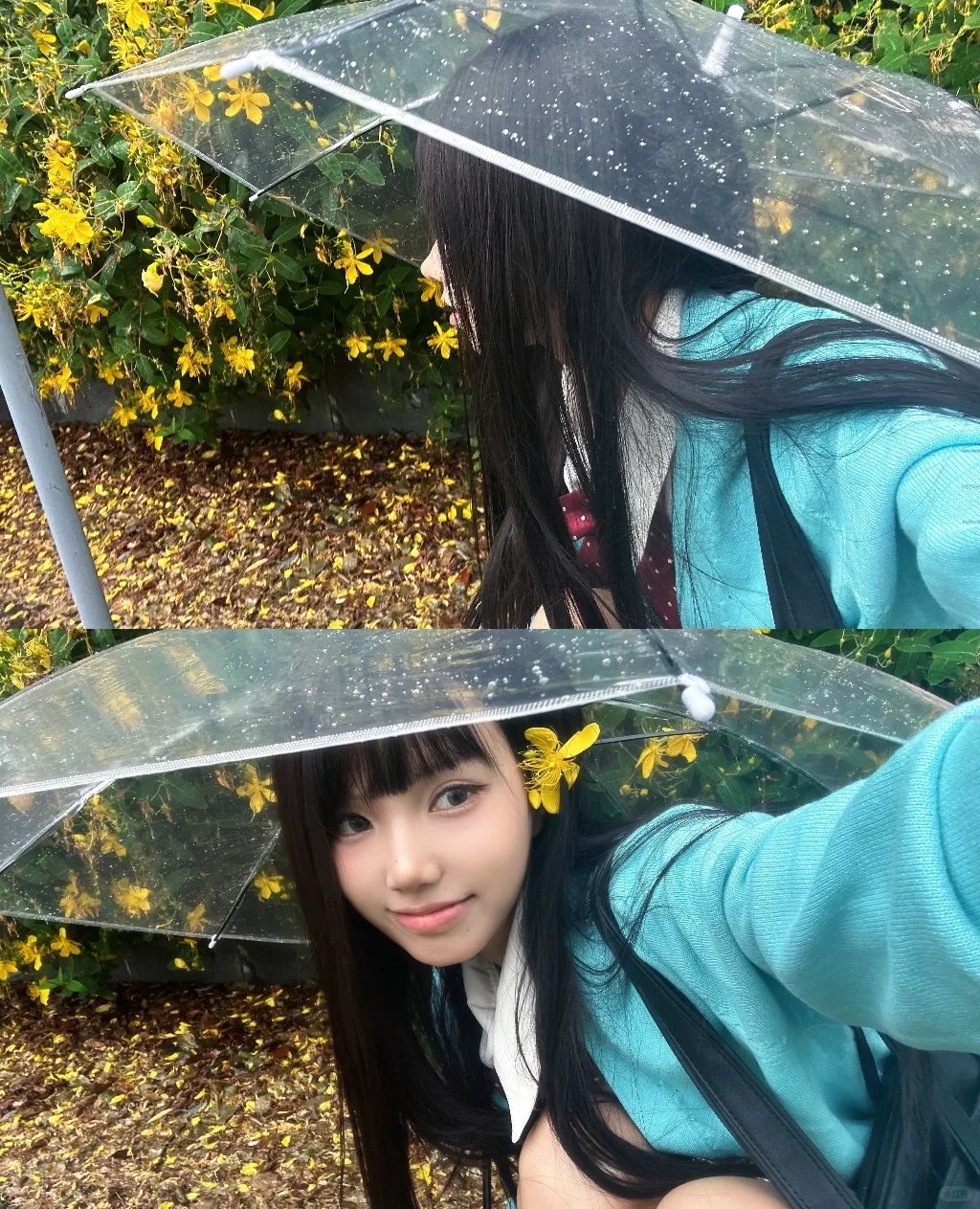 下雨天偶遇一处小黄花🌼