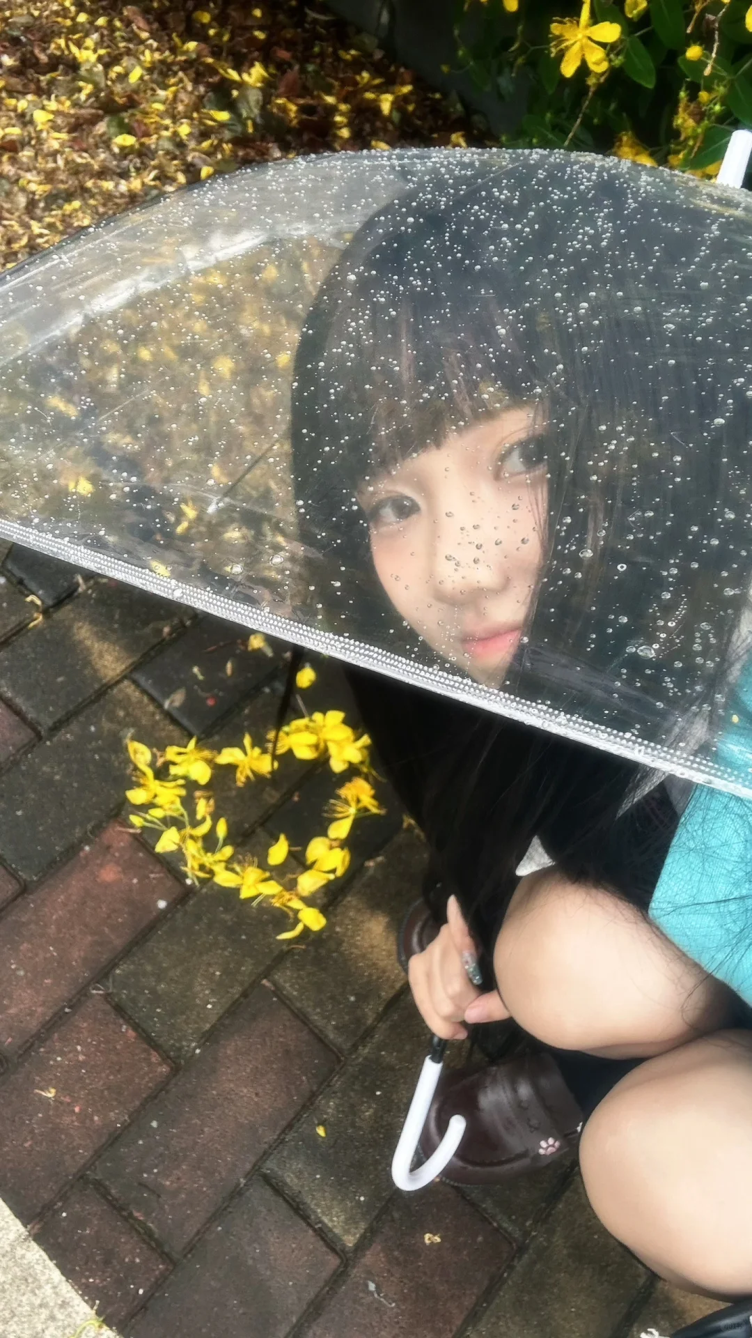 下雨天偶遇一处小黄花🌼
