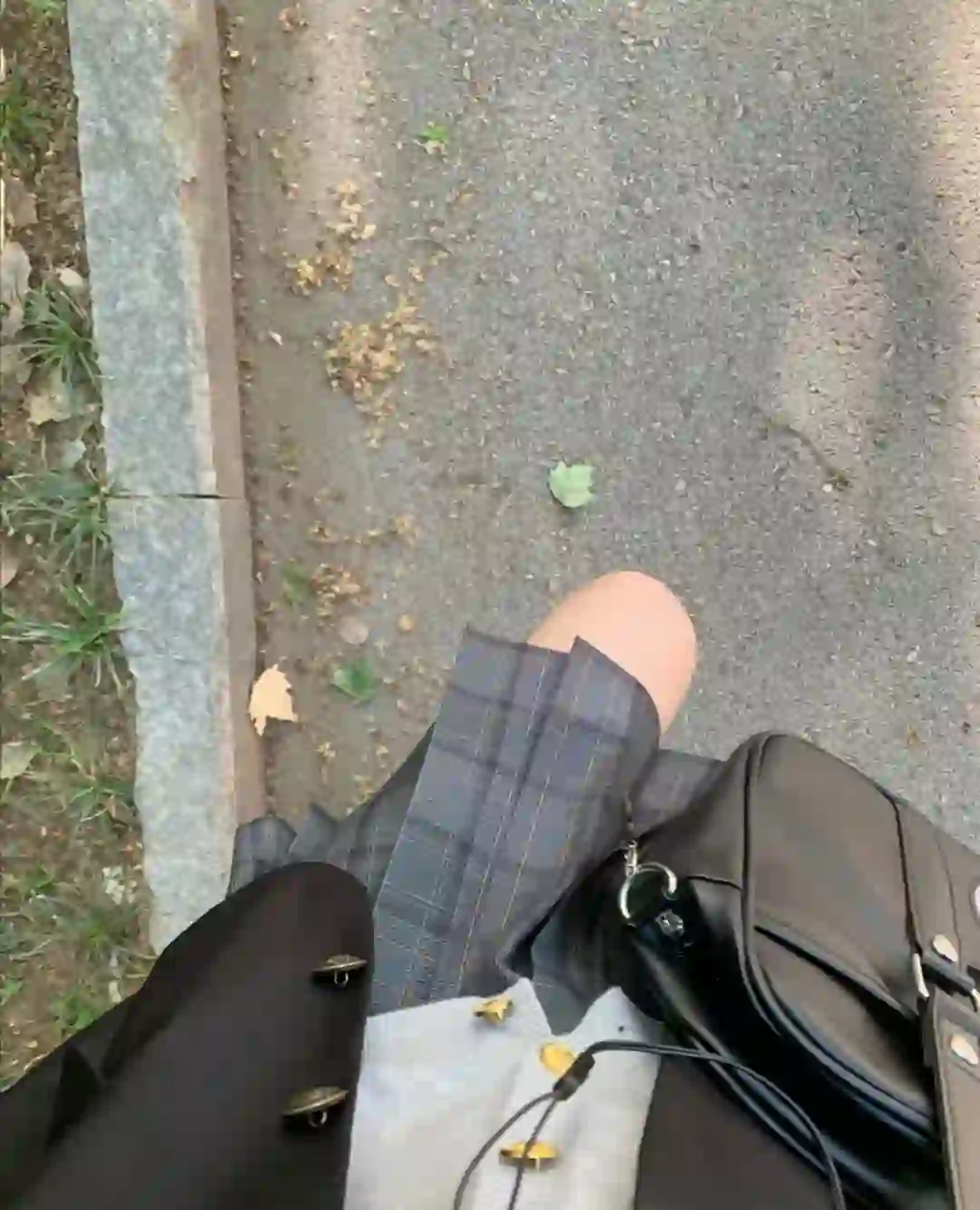 97宁波  |  给我的猫找个爹