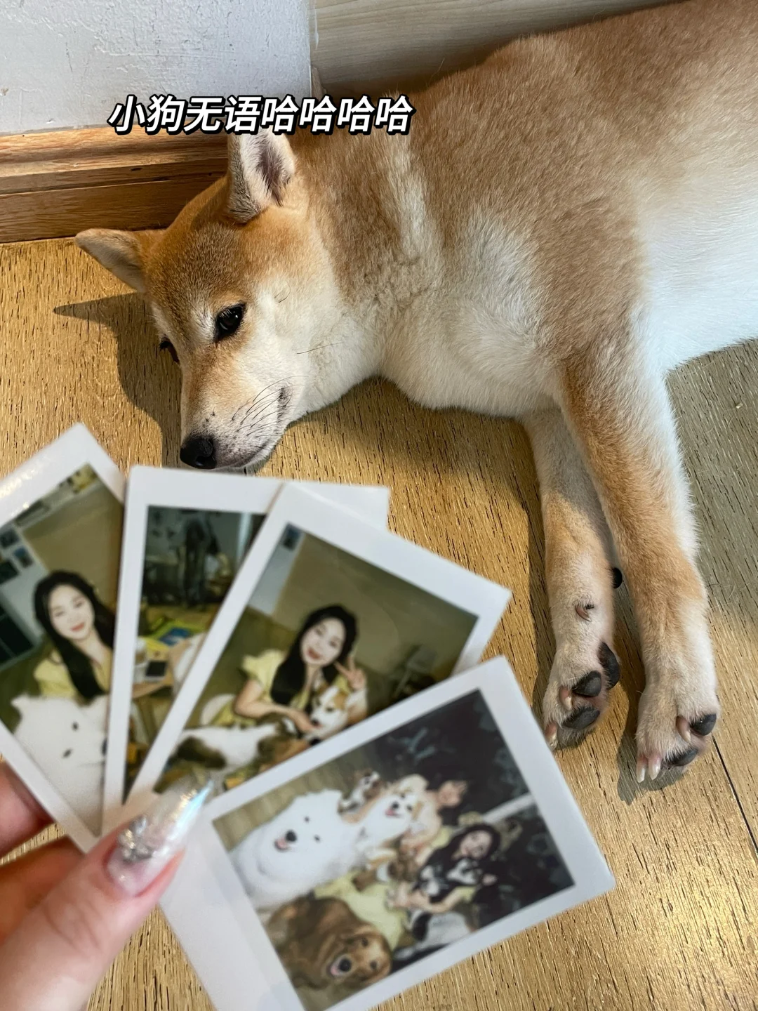 狗咖初体验!!