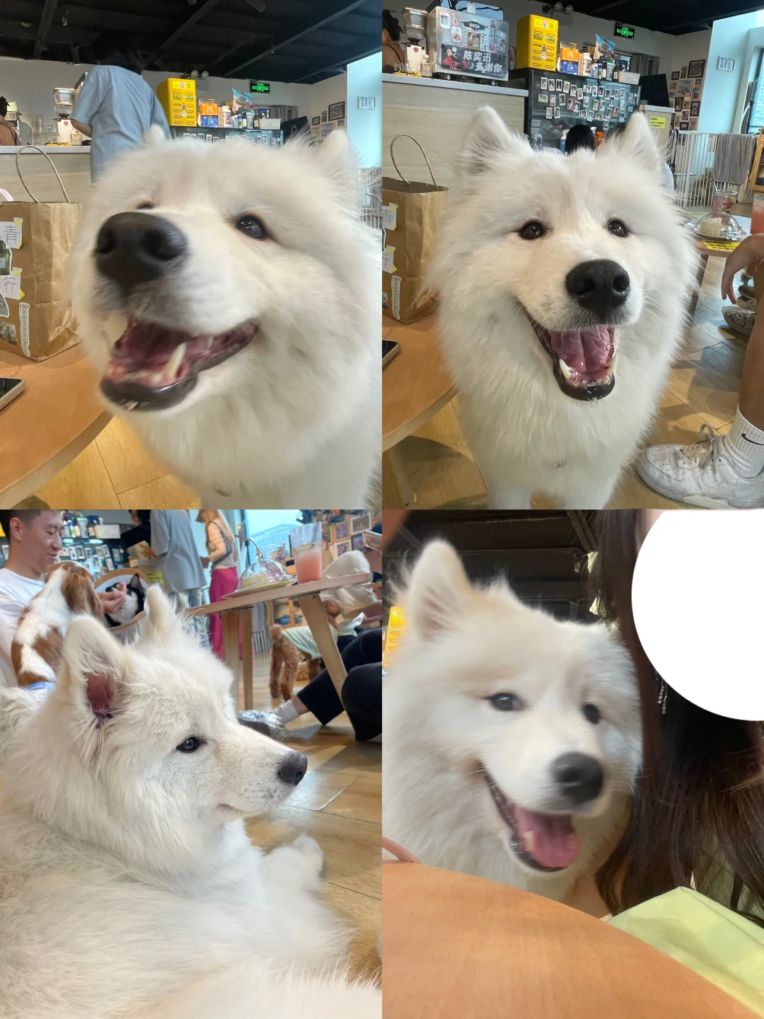 狗咖初体验!!
