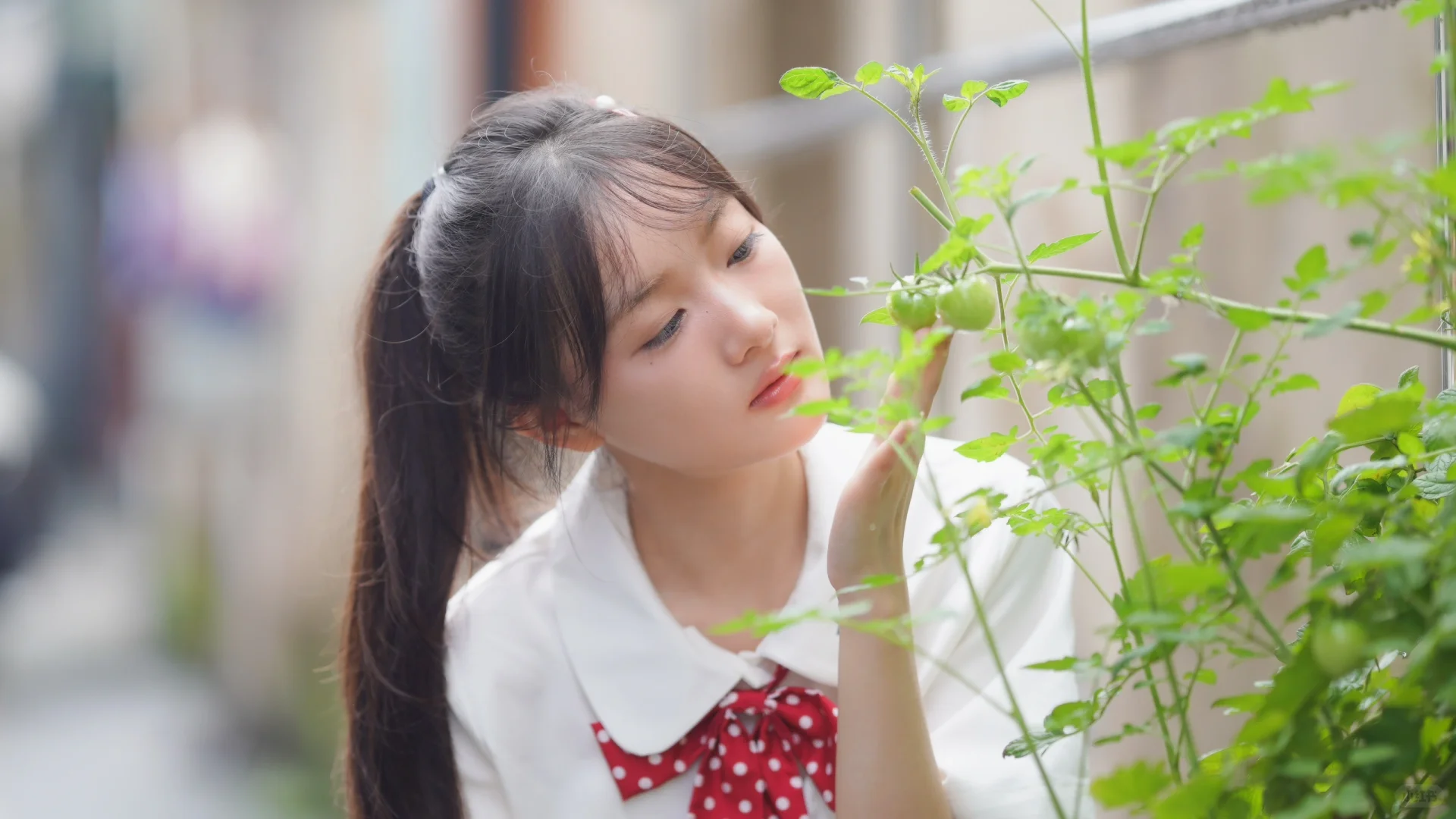 🍃杭州约拍 夏日静谧JK