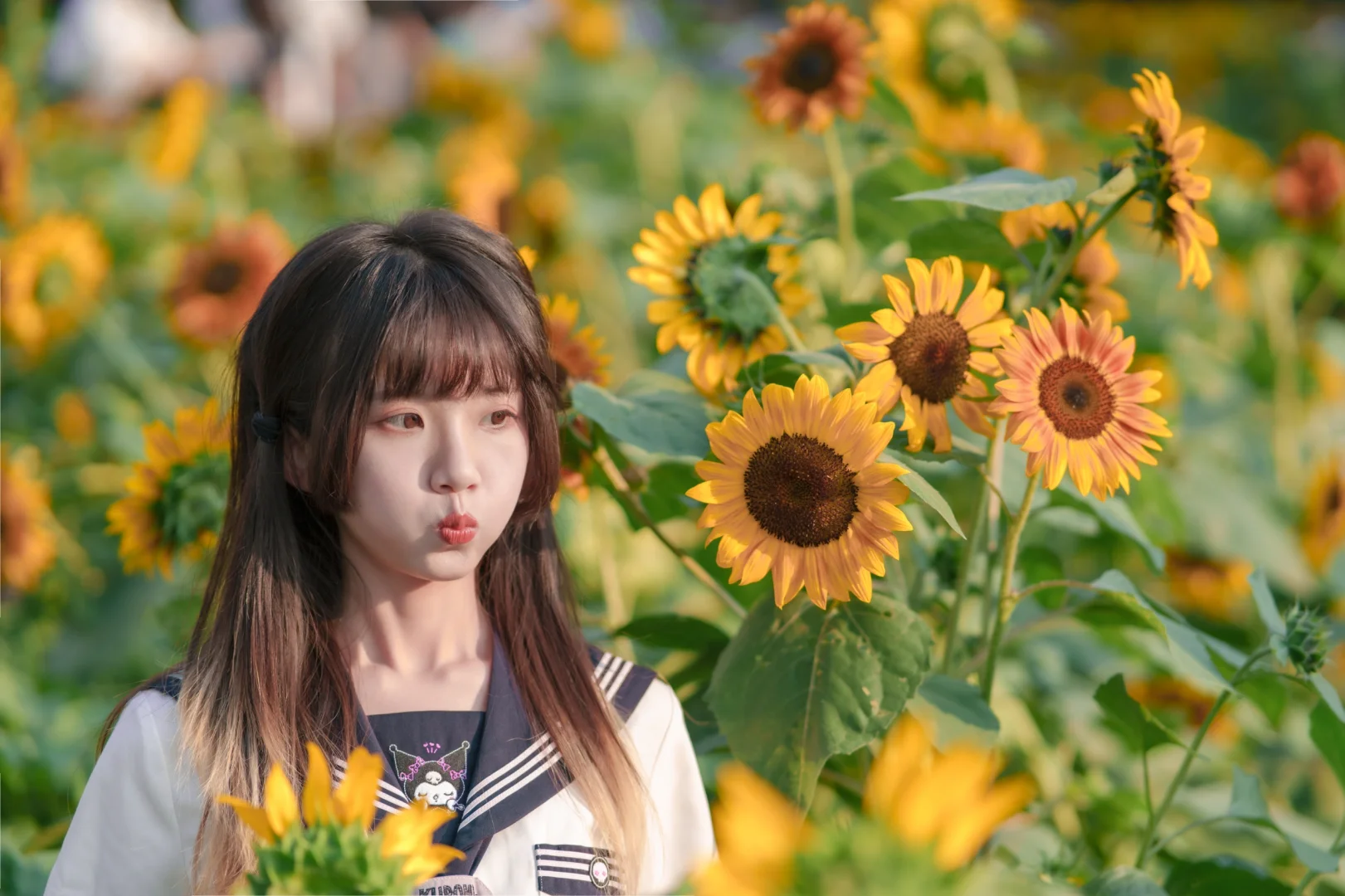 今天是阳光☀️向日葵与JK！