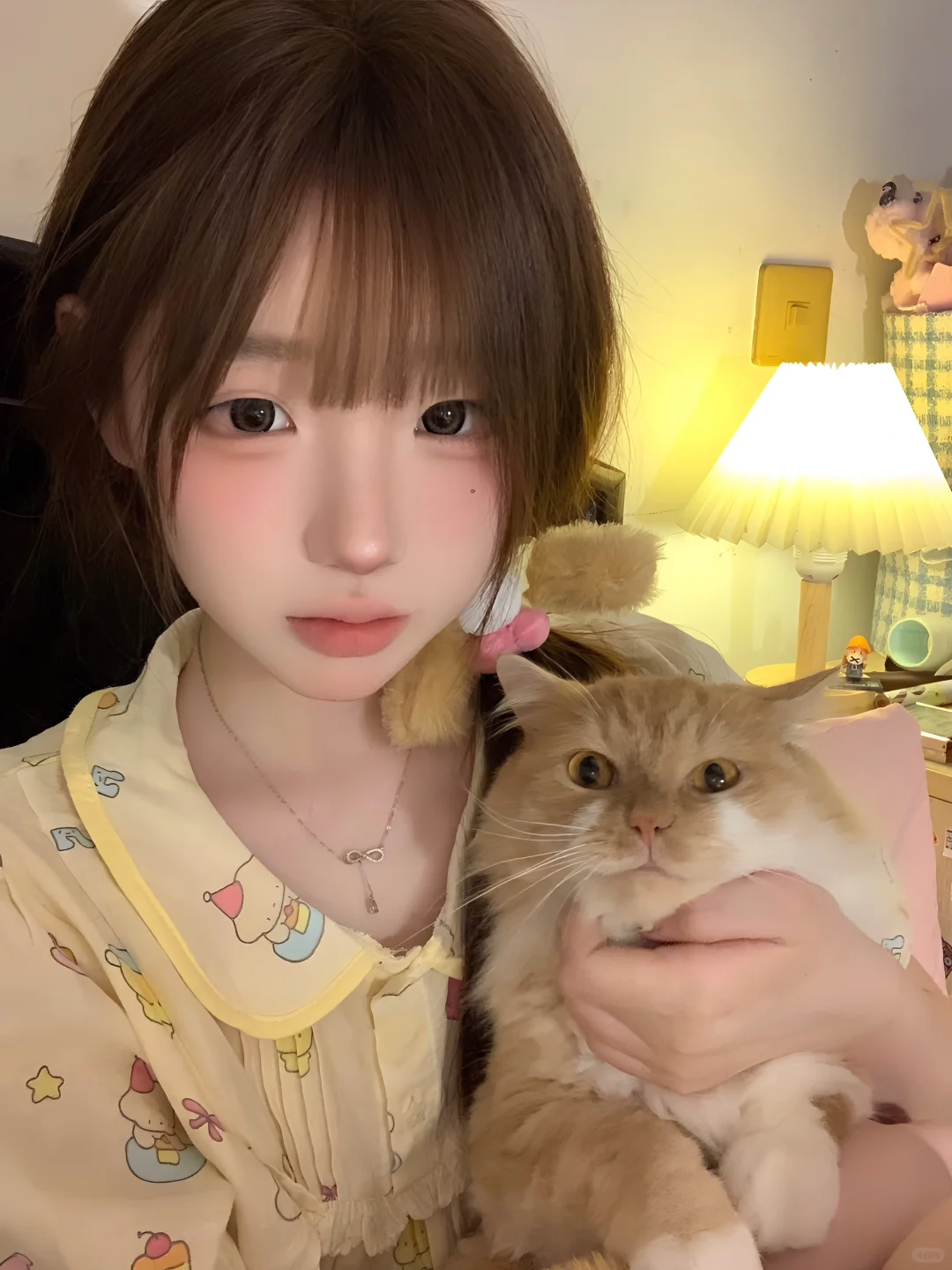 和猫猫🐱
