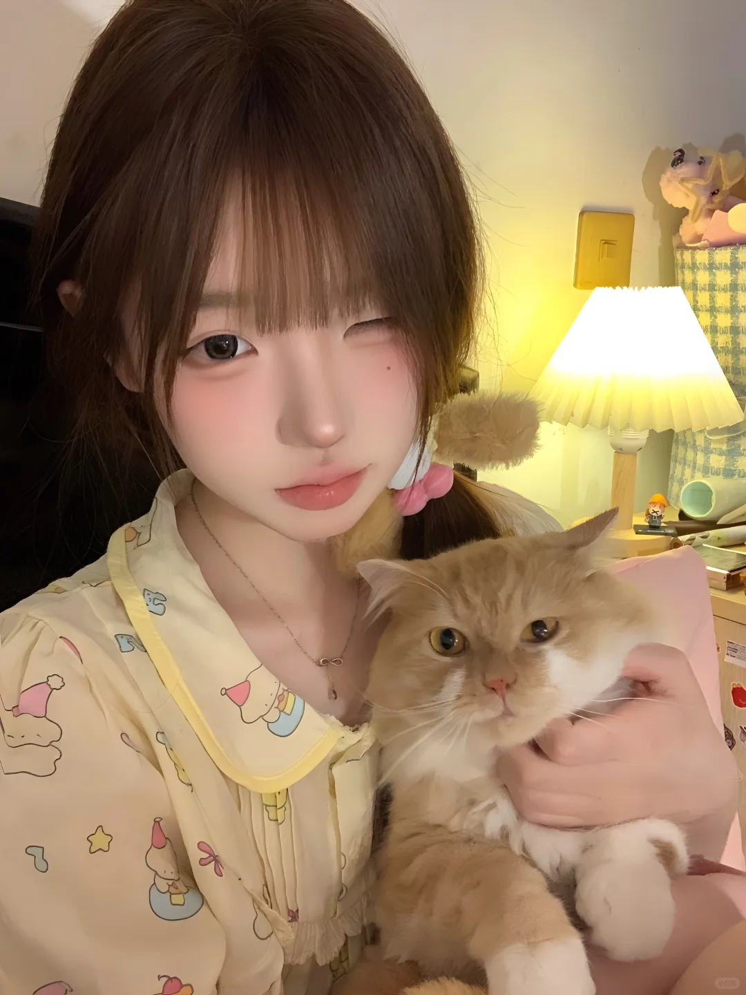 和猫猫🐱