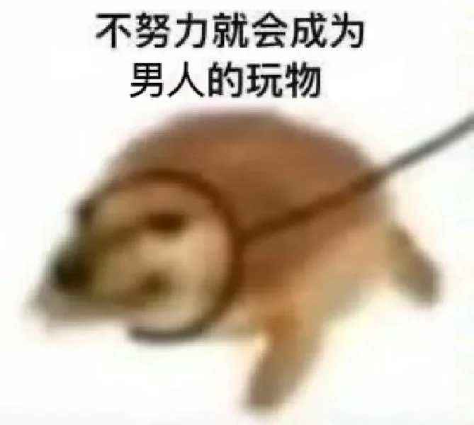 图文不符！石景山哪有免费洗车的加油站！
