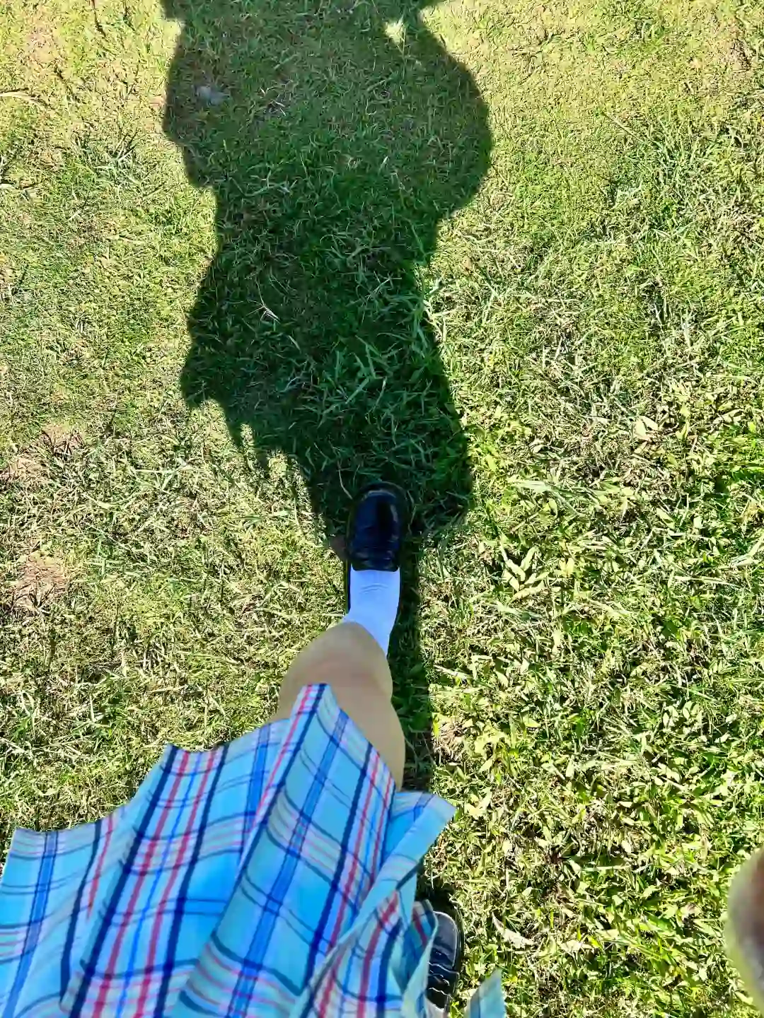 今天天气特别好（晒）