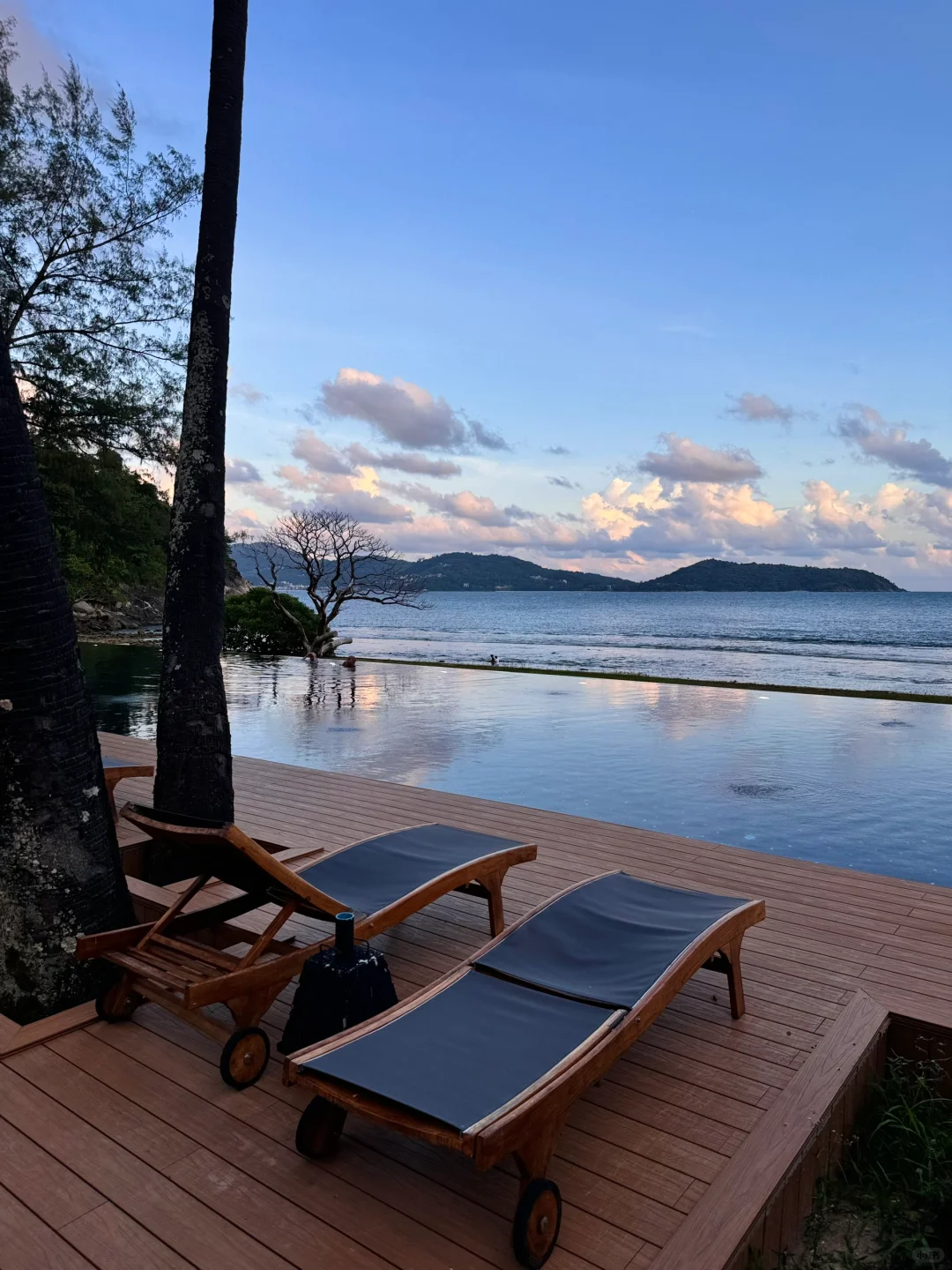 海边黑皮自由🏝️