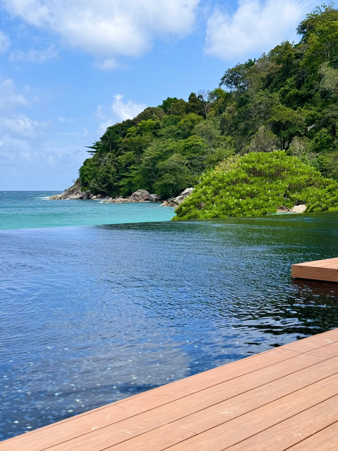 海边黑皮自由🏝️