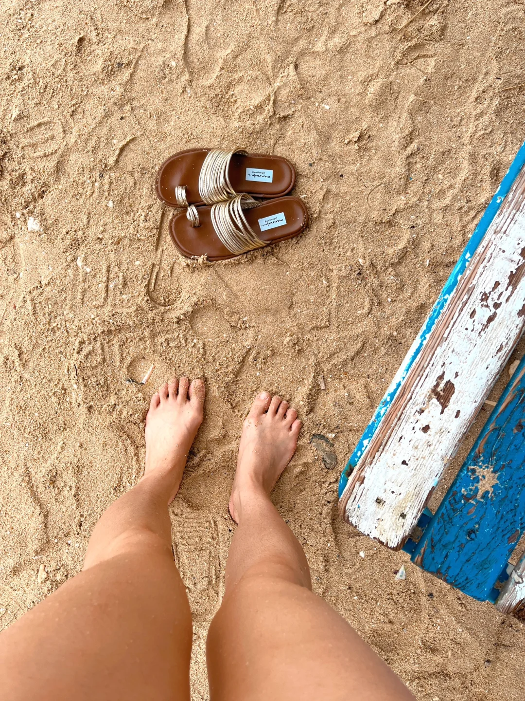 𝓈𝑒𝑒 𝓈𝑒𝒶🐚🫧