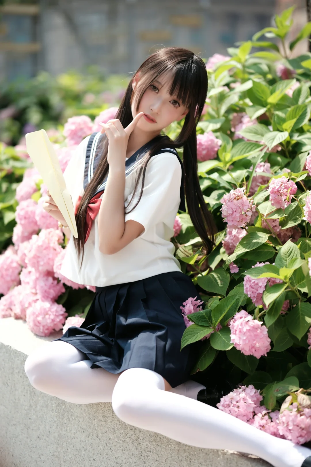 绣球花丛中的白丝jk
