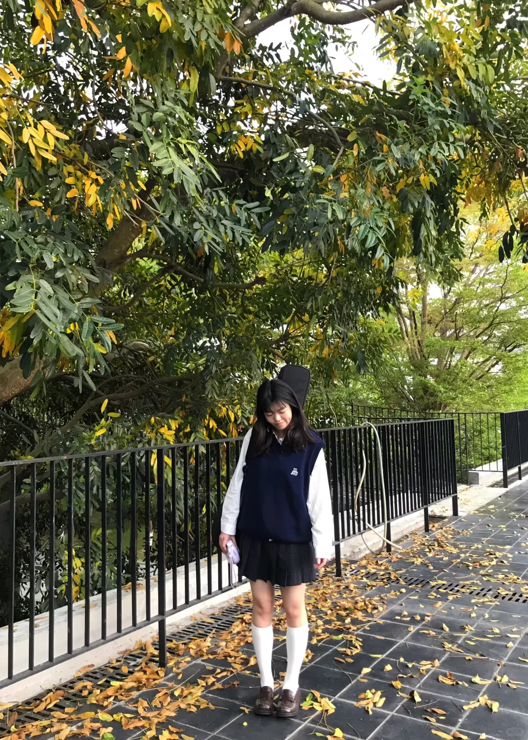 落叶&JK🍂