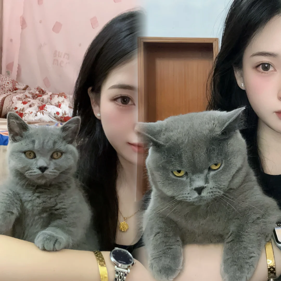 生日快乐 我的小宝贝🐱