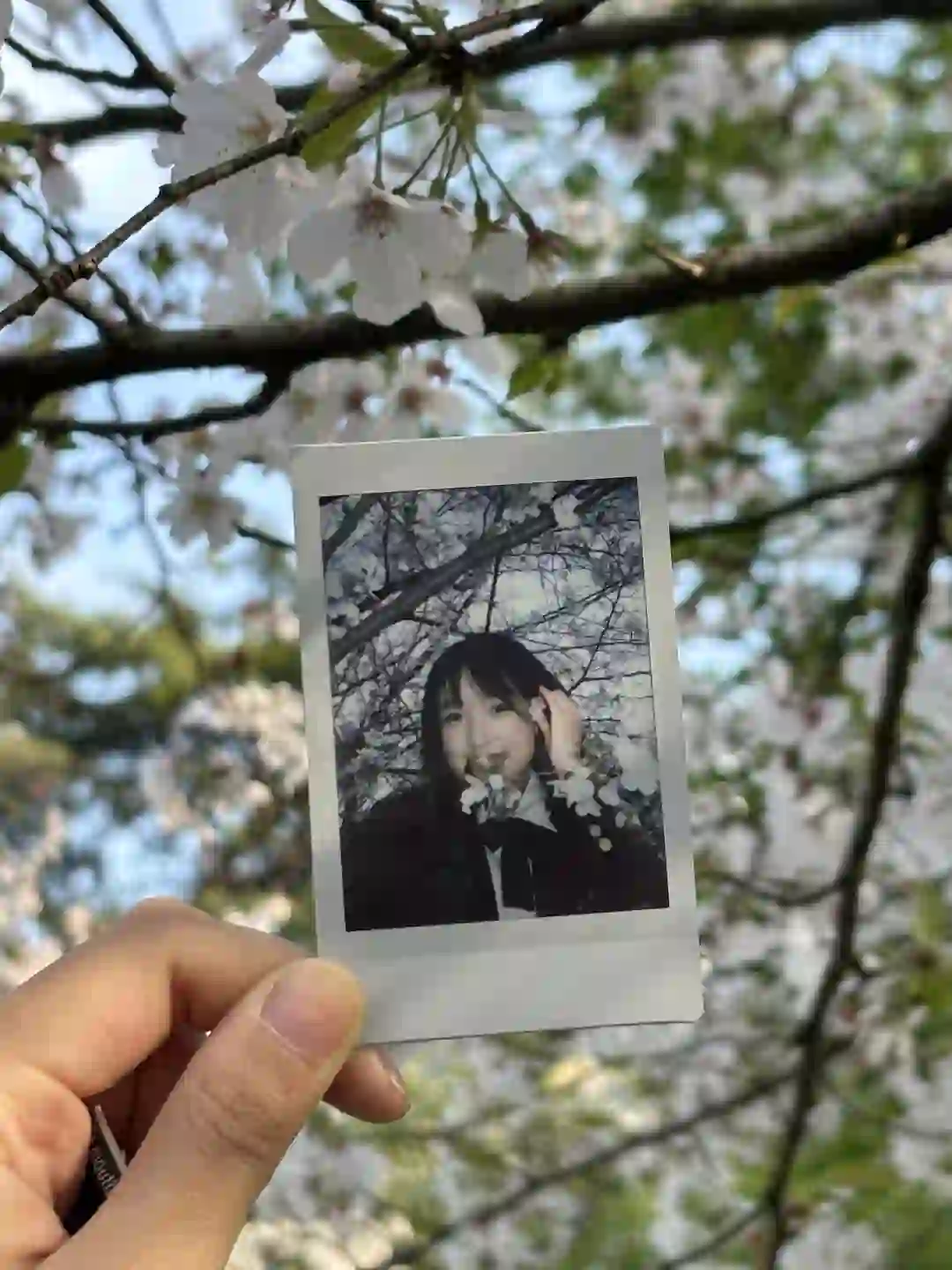 毕业拍jk写真吧！用拍立得定格美好的时光