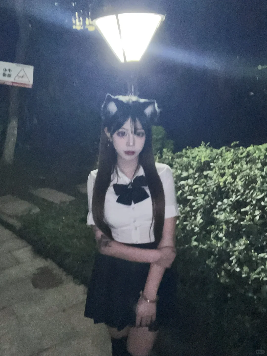 流浪猫嘛 都是很自由的 就是天气不好的时候