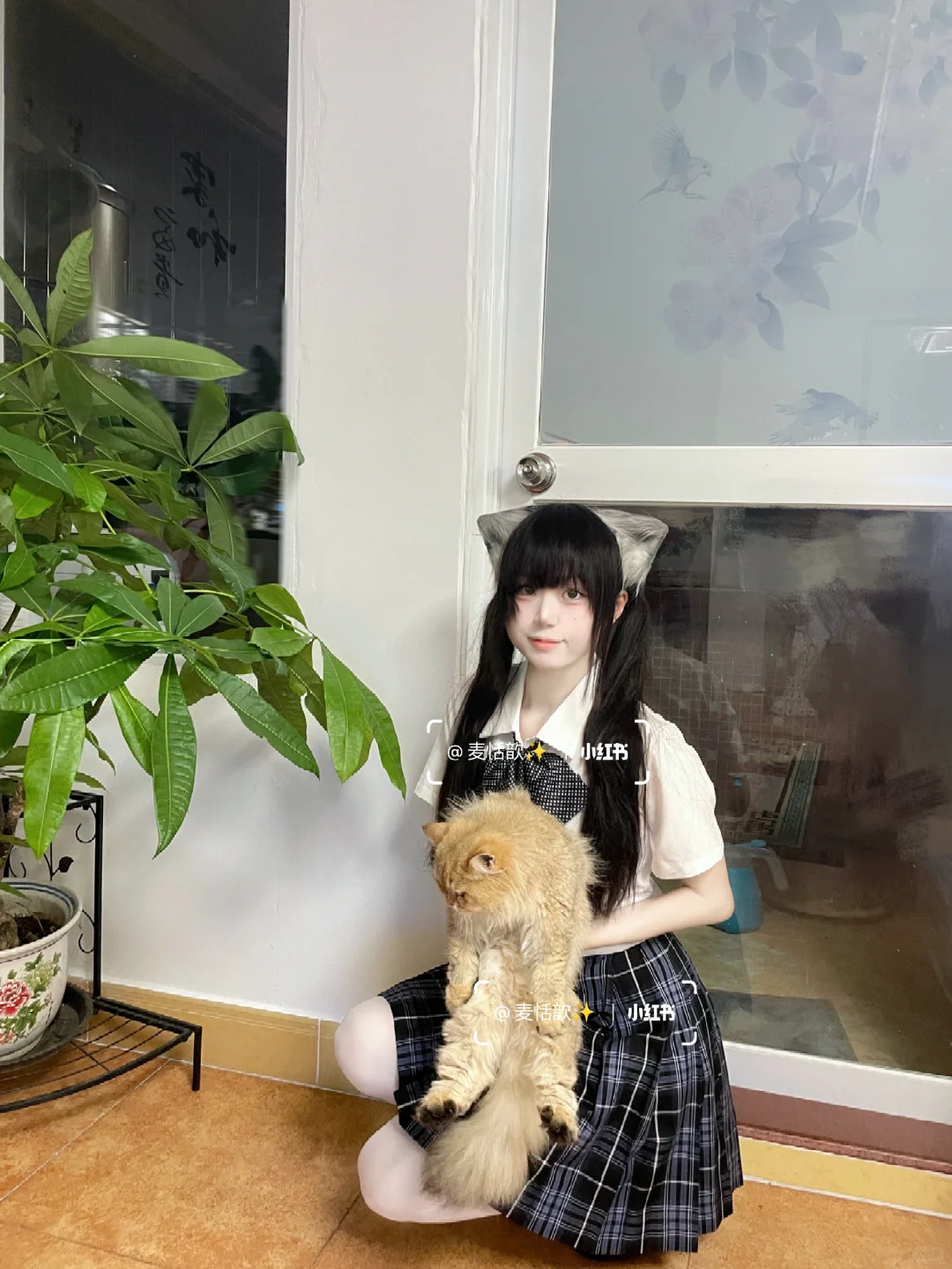 猫耳双马尾萌妹jk日常🌿金渐层比我萌🐾