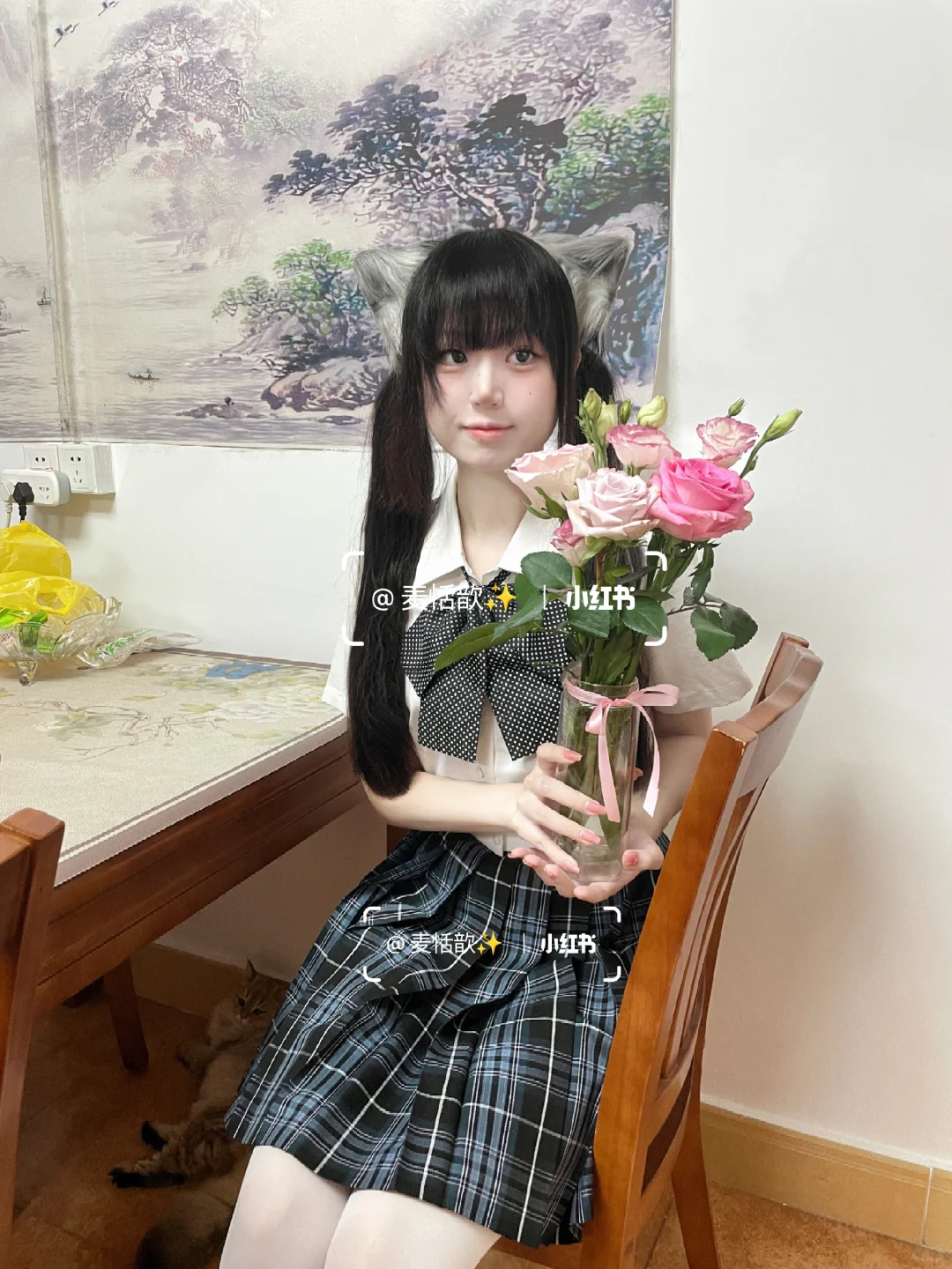 猫耳双马尾萌妹jk日常🌿金渐层比我萌🐾