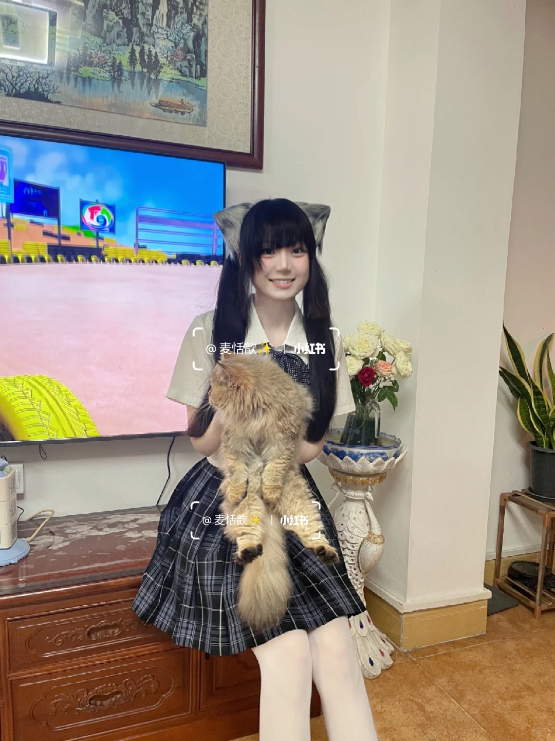 猫耳双马尾萌妹jk日常🌿金渐层比我萌🐾