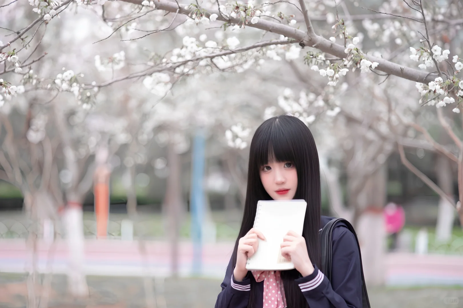 邯郸的樱花开了｜底层摄影拍的樱花jk