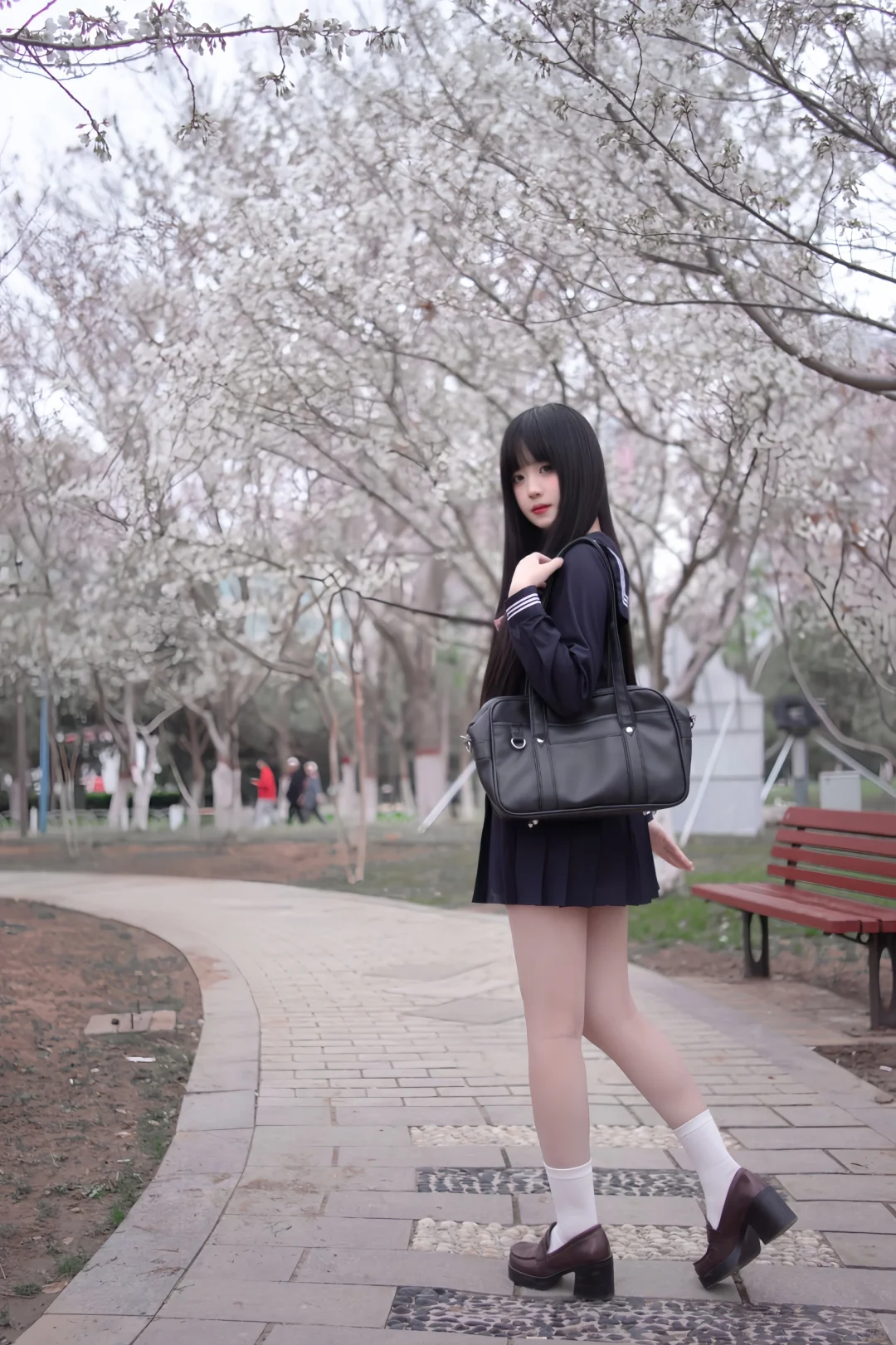 邯郸的樱花开了｜底层摄影拍的樱花jk