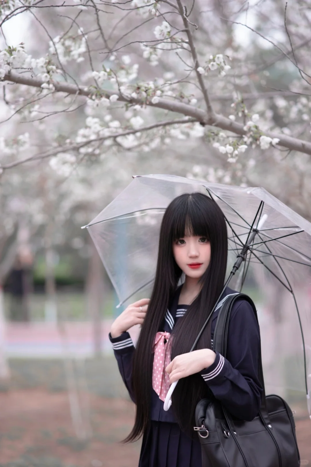 邯郸的樱花开了｜底层摄影拍的樱花jk