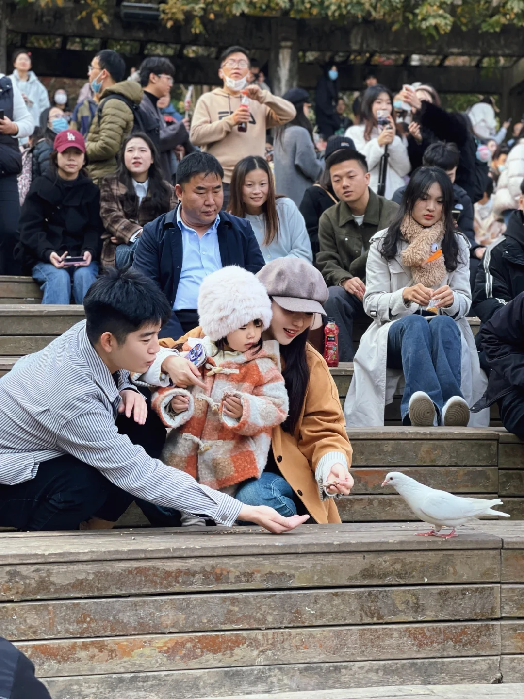 🍂2岁幼崽来感受秋日金陵的浪漫 | 南京