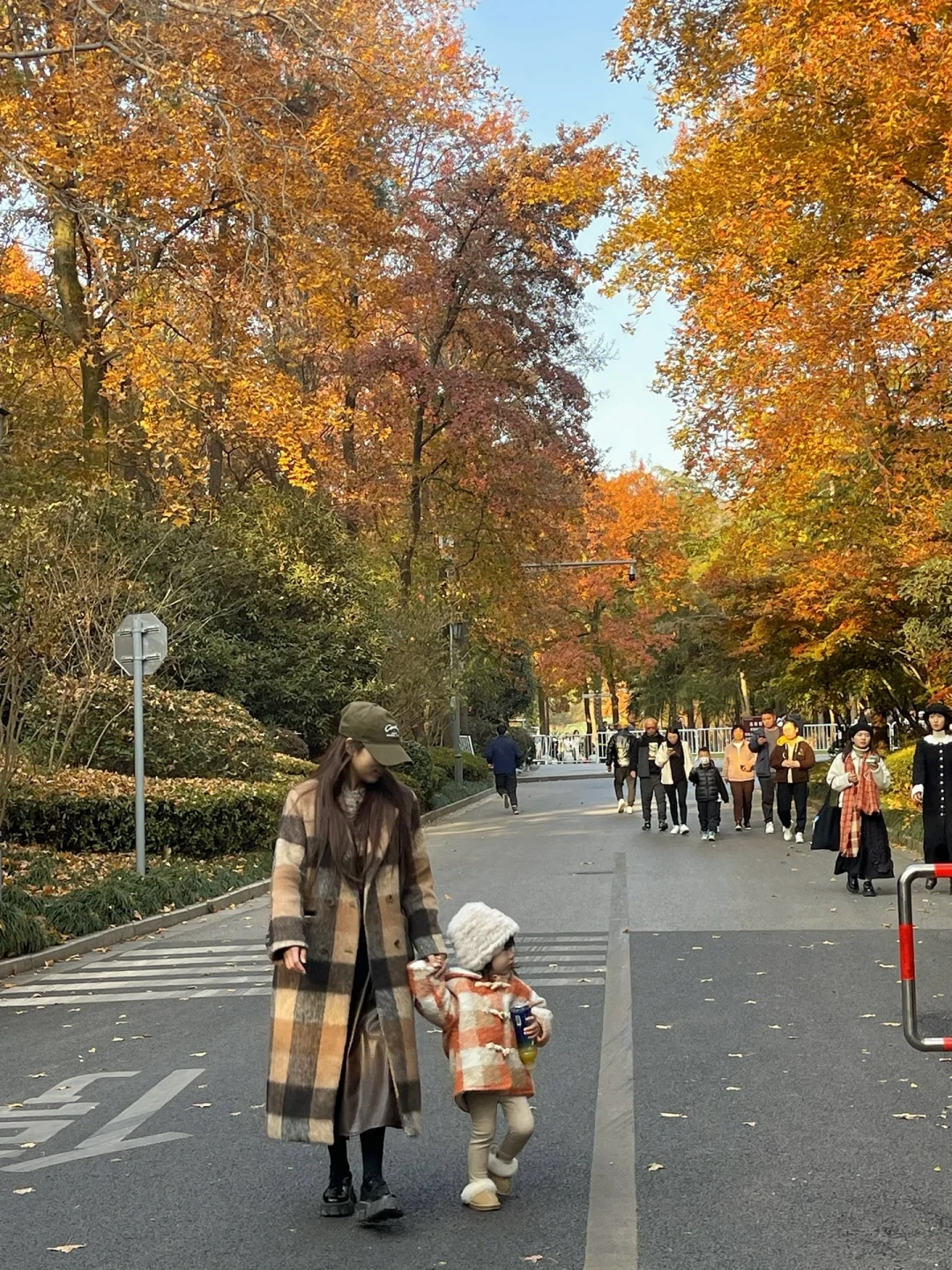 🍂2岁幼崽来感受秋日金陵的浪漫 | 南京