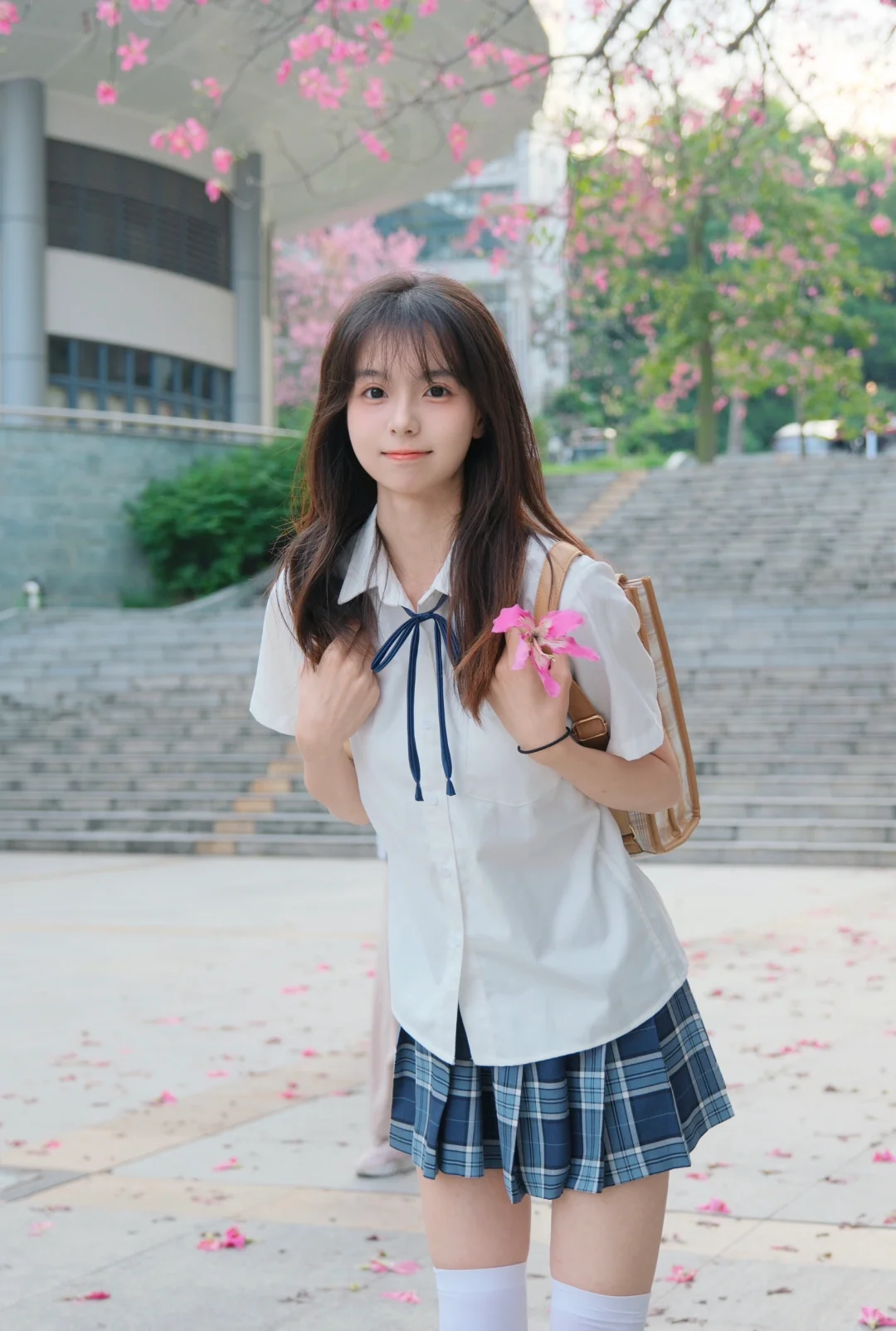 教学楼的花开了