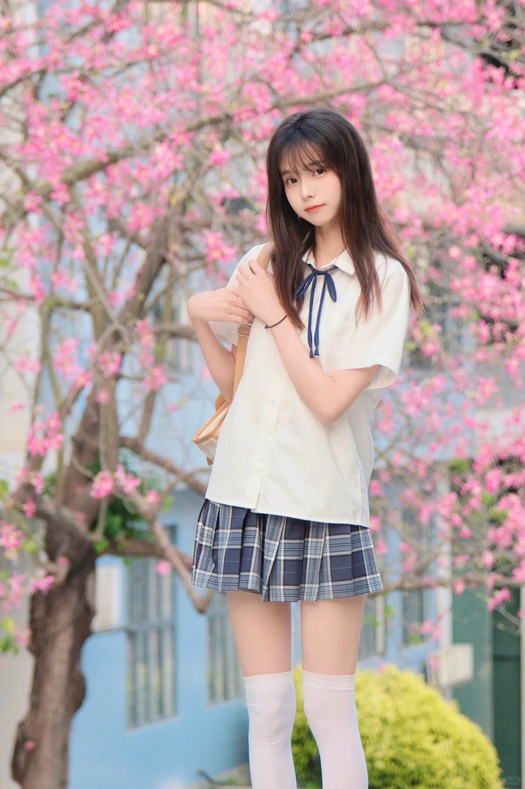 教学楼的花开了