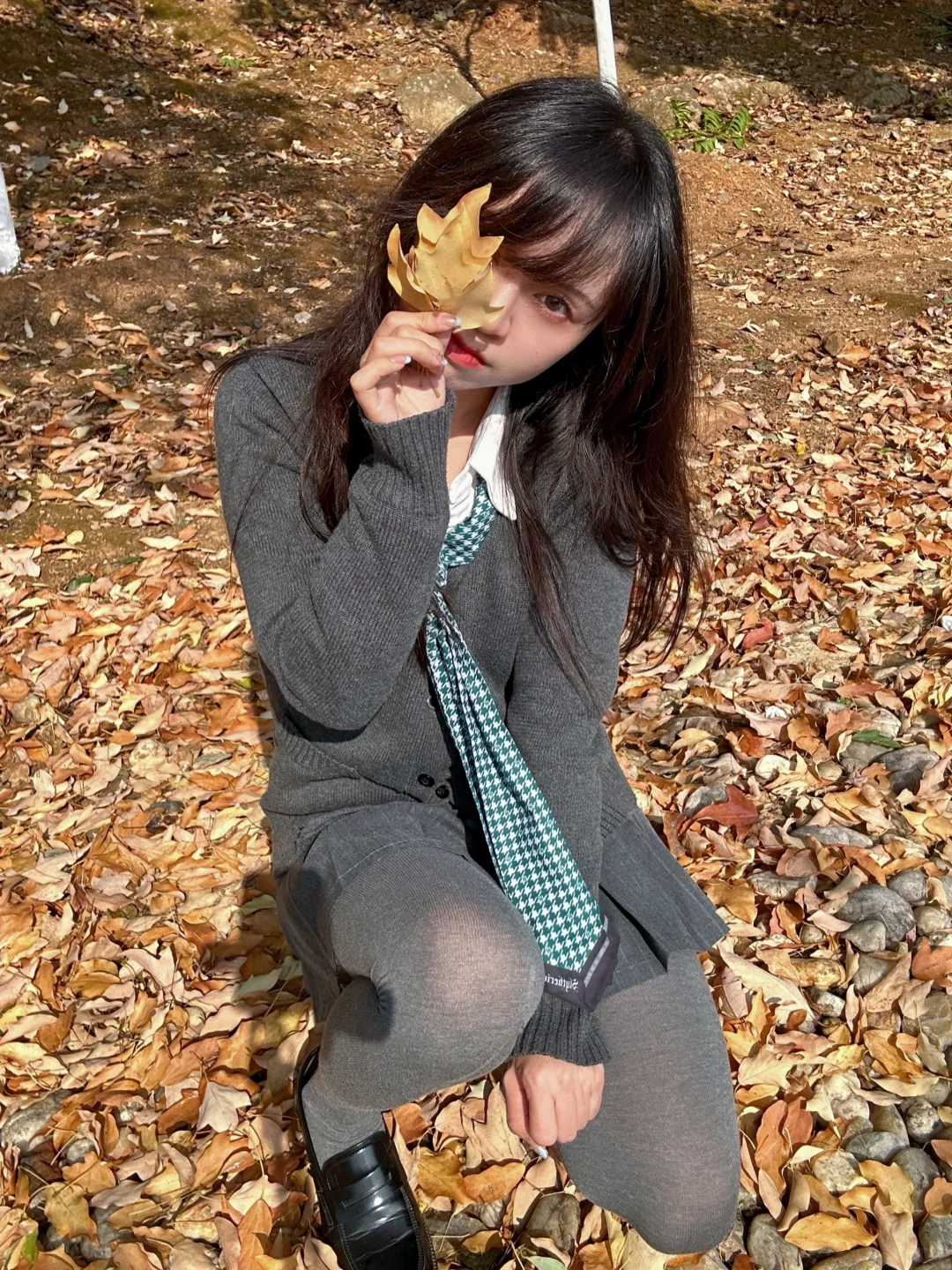 天气真好啊