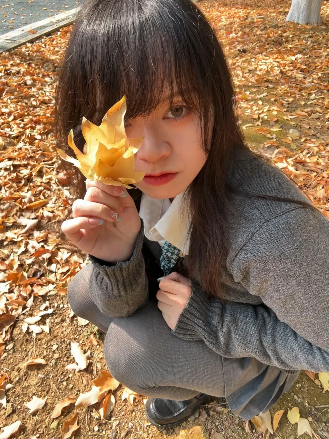 天气真好啊