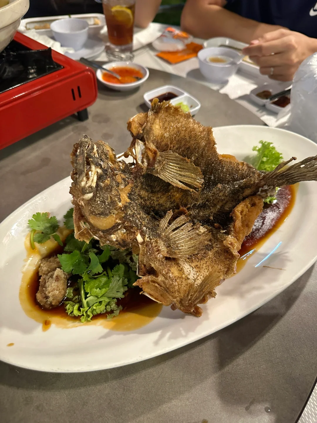 🇸🇬𝑾𝒂𝒍𝒌 𝒐𝒏 𝒕𝒉𝒆 𝒃𝒆𝒂𝒄𝒉
