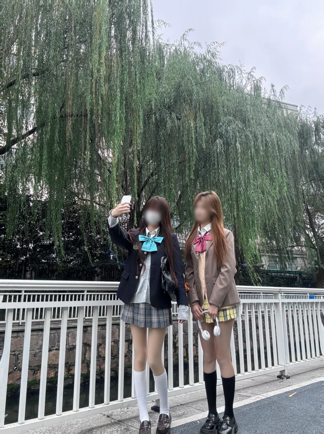 小枝和晴后雪！