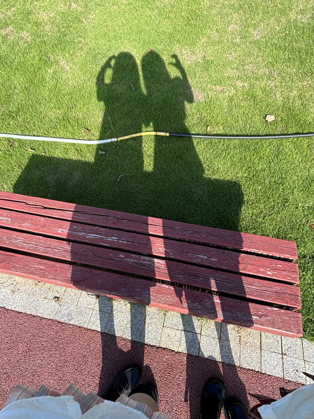 我与阳光☀️
