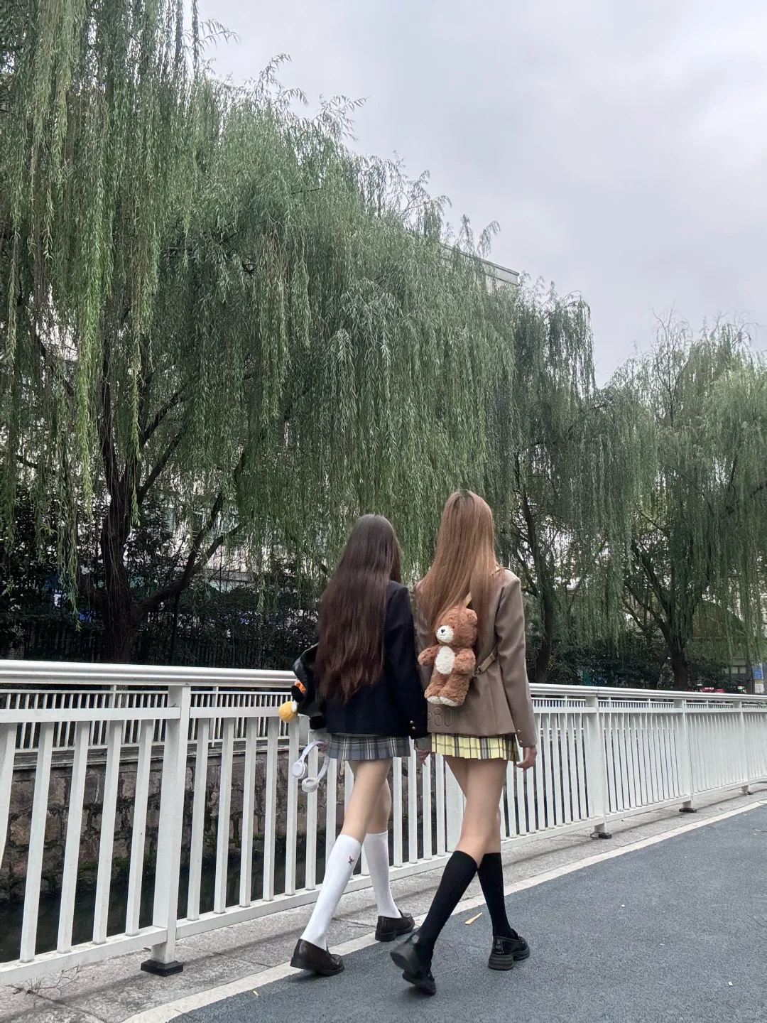 小枝和晴后雪！