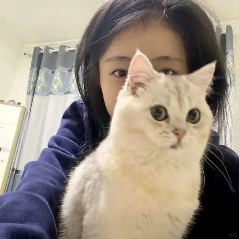 WeChat小众甜妹头像🍥