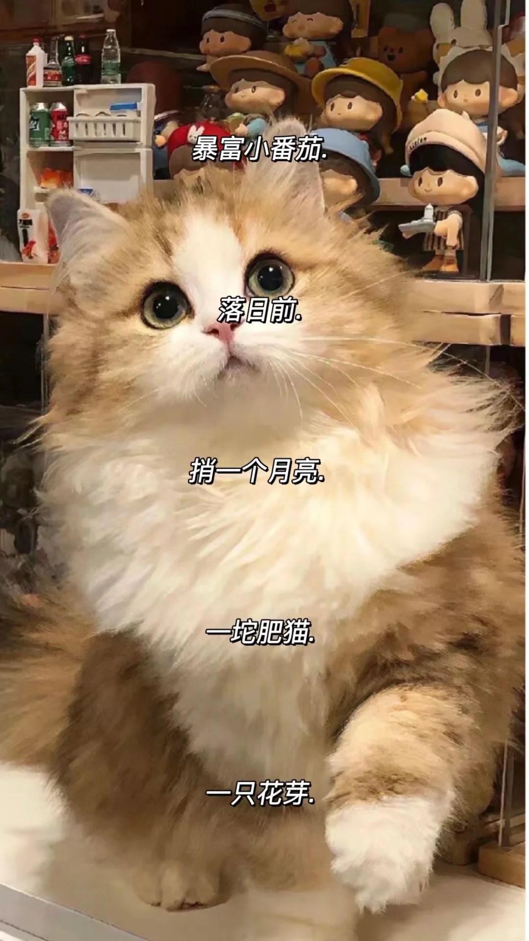 可可爱爱的甜妹ID
