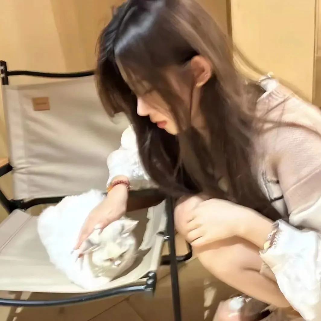 𝙒𝙚𝘾𝙝𝙖𝙩猫系甜妹头像