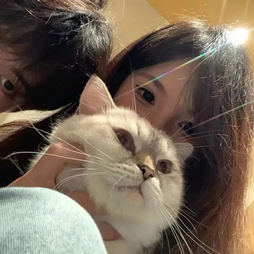 𝙒𝙚𝘾𝙝𝙖𝙩猫系甜妹头像